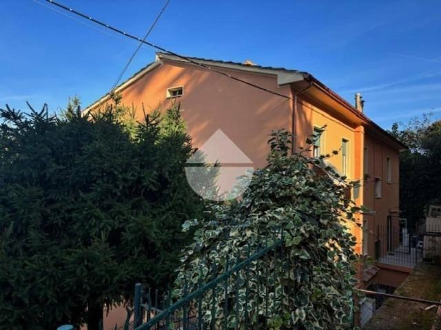Appartamento in affitto a Perugia via Ippolito Nievo, cucina abitabile TrovaCasa