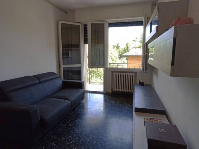 Appartamento in affitto a Pianoro BO