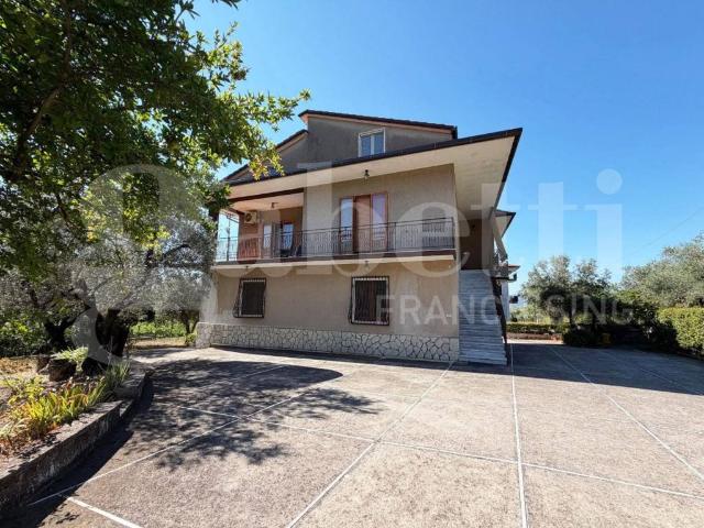 Appartamento in affitto a Piedimonte Matese CE
