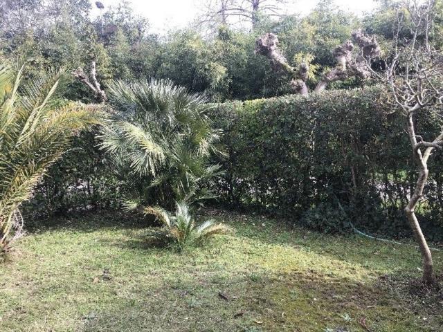Appartamento in affitto a Pietrasanta, giardino, posto auto, ingresso indipendente TrovaCasa