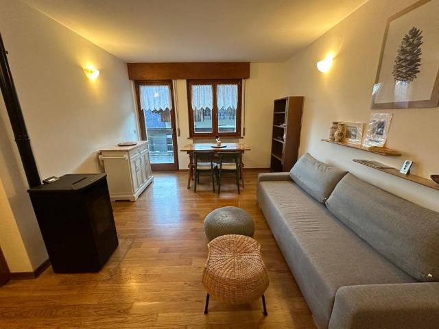 Appartamento in affitto a Pieve di Cadore BL