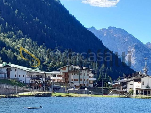 Appartamento in affitto a Pinzolo viale Dolomiti di Brenta, 113, arredato, posto auto, angolo cottura TrovaCasa