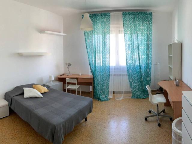 Appartamento in affitto a Pisa