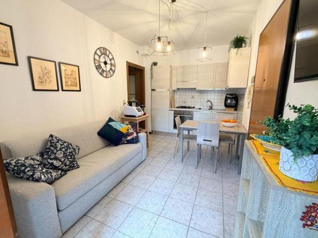 Appartamento in affitto a Pisa 42 mq Rif: 1391783