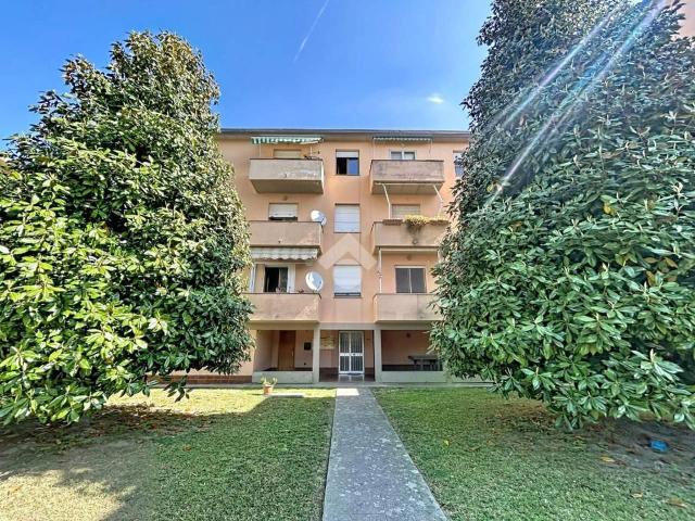 Appartamento in affitto a Pisa