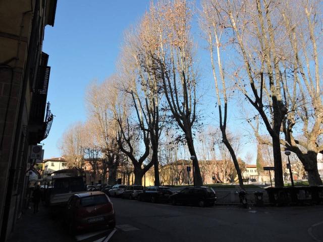 Appartamento in affitto a Pisa