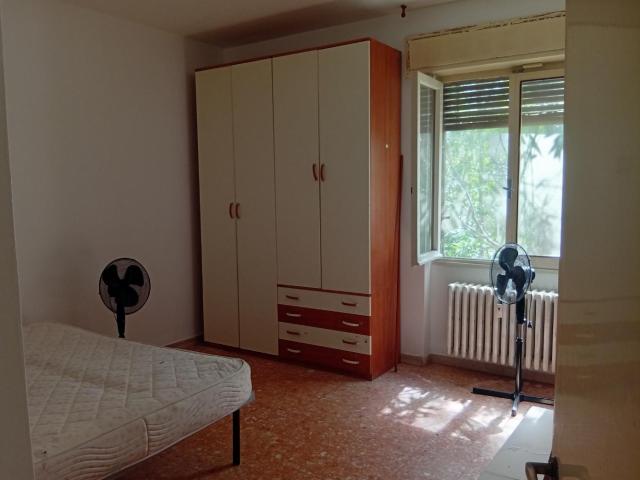 Appartamento in affitto a Pisa, case in affitto Pisa