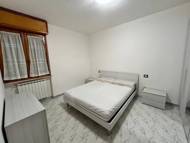 Appartamento in affitto a Pisa PI