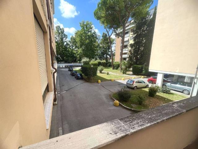 Appartamento in affitto a Pisa PI