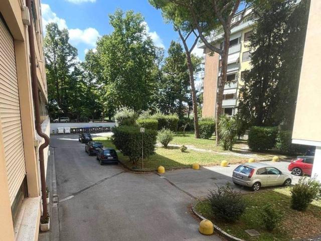 Appartamento in affitto a Pisa PI