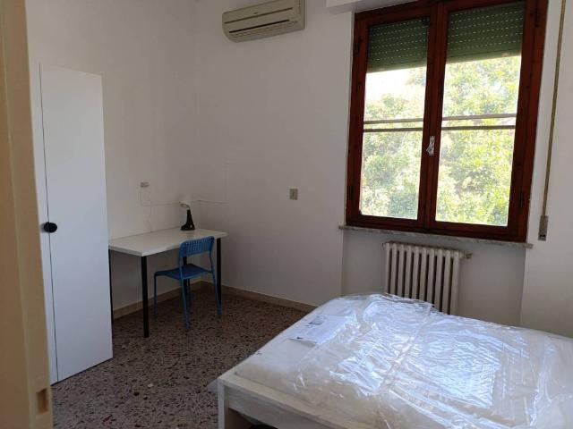 Appartamento in affitto a Pisa PI