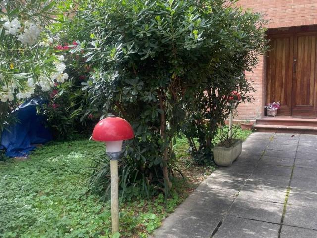 Appartamento in affitto a Pisa PI