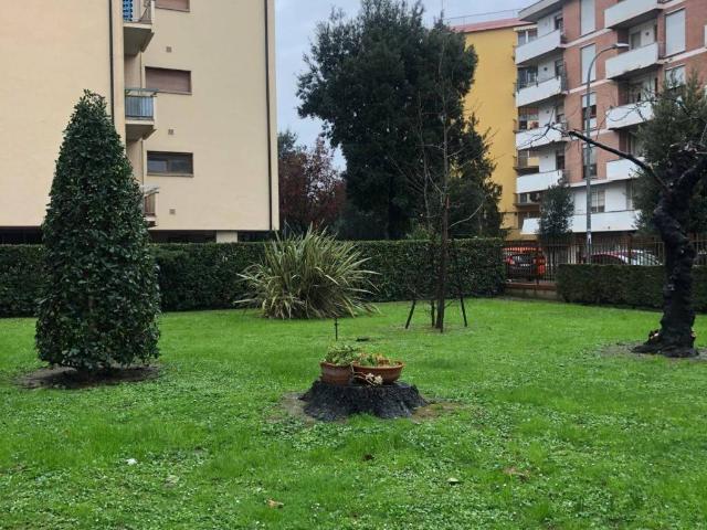 Appartamento in affitto a Pisa PI
