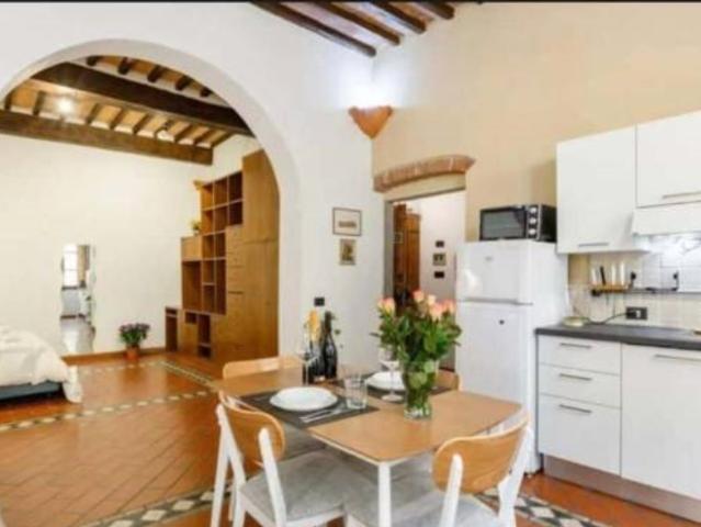 Appartamento in affitto a Pisa via San Martino, arredato TrovaCasa
