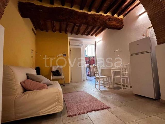 Appartamento in affitto a Pisa via Santa Marta, arredato, giardino privato, ristrutturato TrovaCasa