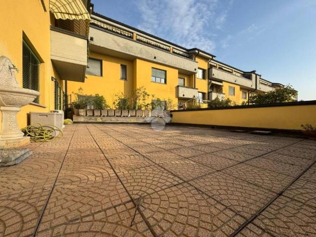 Appartamento in affitto a Pizzighettone CR