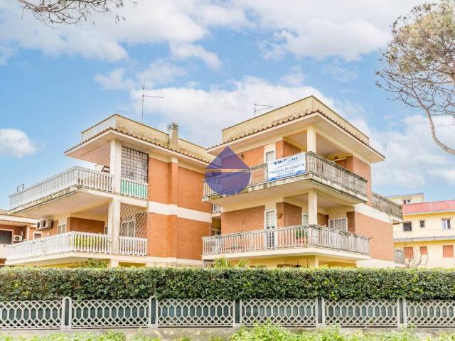 Appartamento in affitto a Pomezia RM
