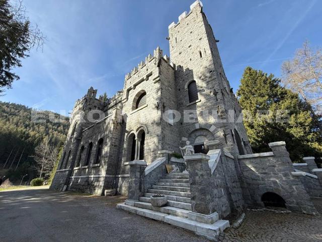 Appartamento in affitto a Ponte di Legno via Castello, 87, arredato, box, cantina TrovaCasa