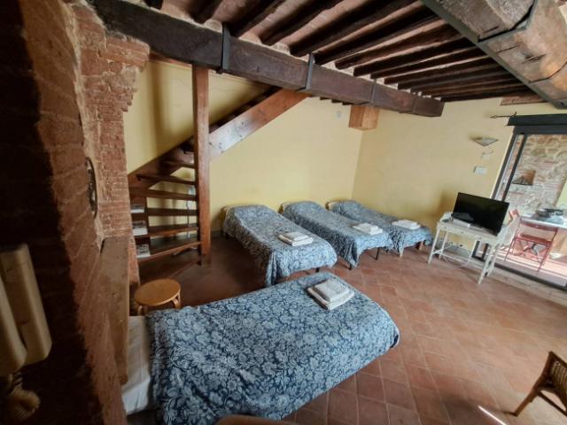 appartamento in affitto a pontedera