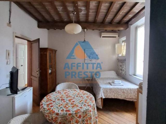 Appartamento in affitto a Pontedera, arredato, angolo cottura TrovaCasa