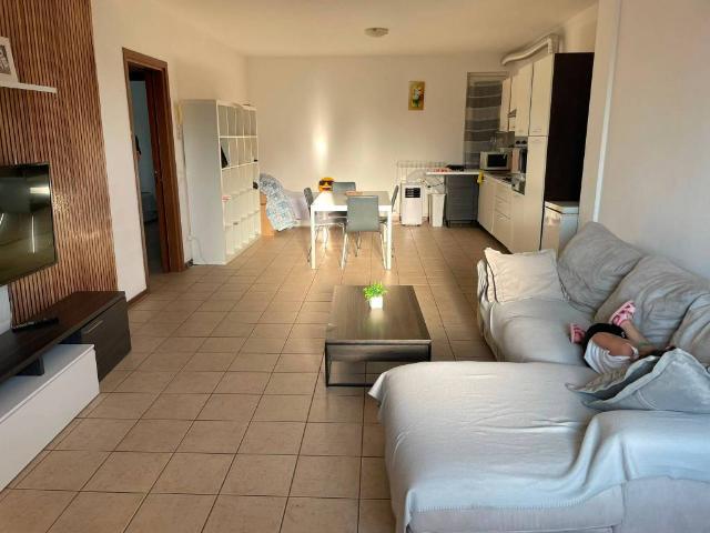 Appartamento in affitto a Porcari LU