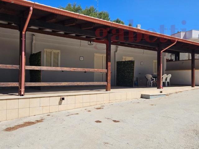 Appartamento in affitto a Porto Cesareo porto Cesareo Sant'Isidoro, arredato, posto auto, terrazzo TrovaCasa