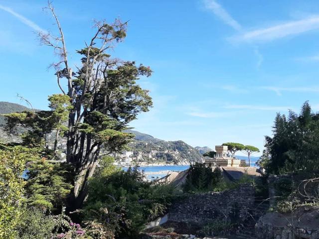 Appartamento in affitto a Rapallo GE