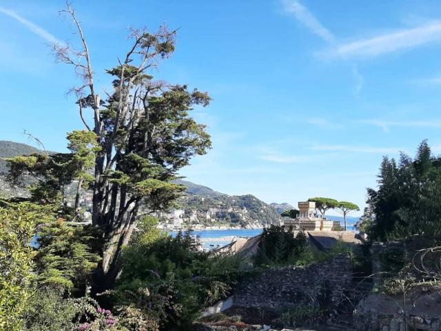 Appartamento in affitto a Rapallo via Privata Macera, arredato, giardino, vista mare TrovaCasa