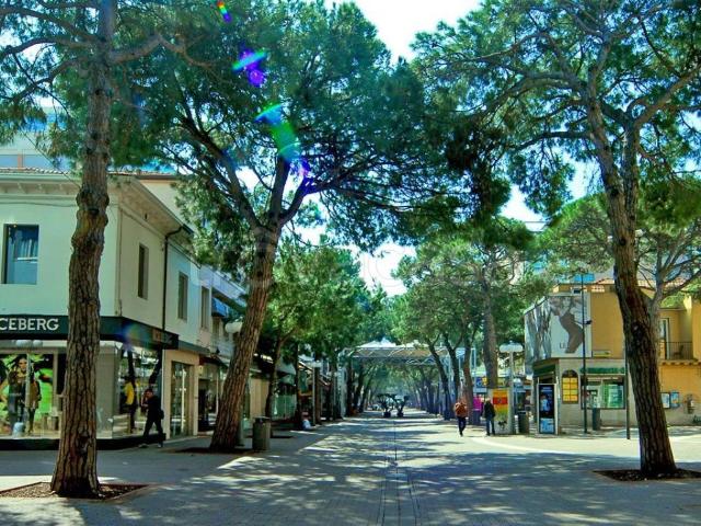 Appartamento in affitto a Riccione viale Goffredo Mameli, arredato, turistica, balcone TrovaCasa