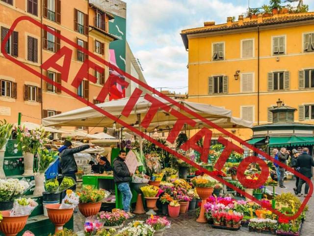 Appartamento in affitto a Roma campo De' Fiori, riscaldamento autonomo, travi a vista, aria condizionata TrovaCasa
