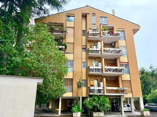 Appartamento in affitto a Roma San Pietro
