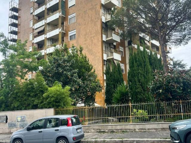 Appartamento in affitto a Roma RM