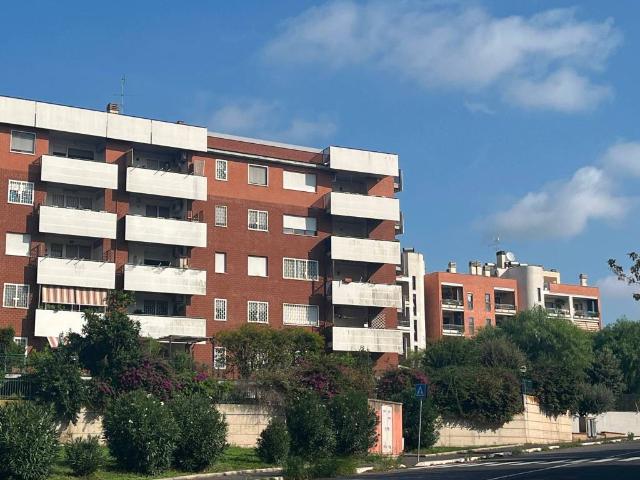 Appartamento in affitto a Roma RM