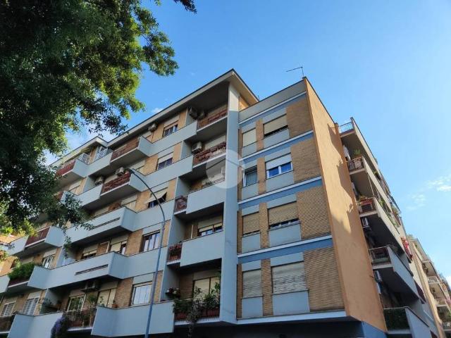 Appartamento in affitto a Roma RM