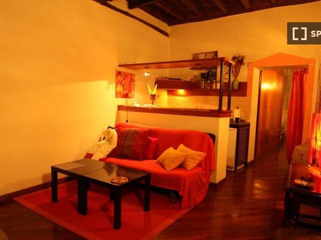 Appartamento in affitto a Roma RM