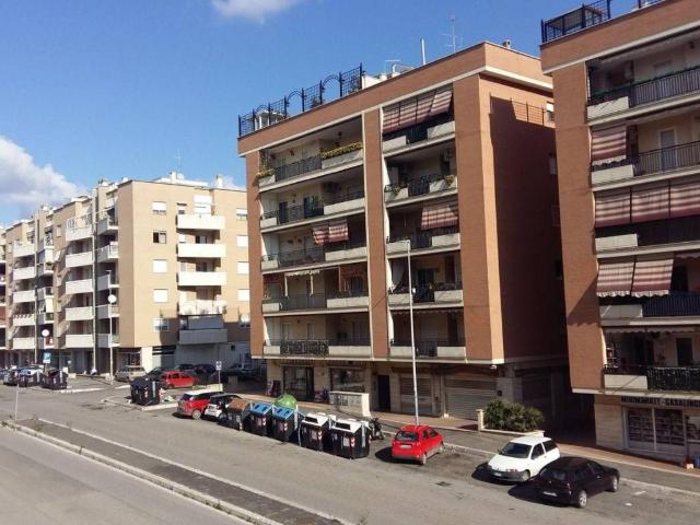Appartamento in affitto a Roma RM