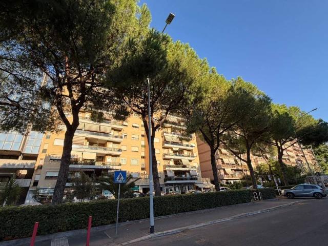 Appartamento in affitto a Roma RM