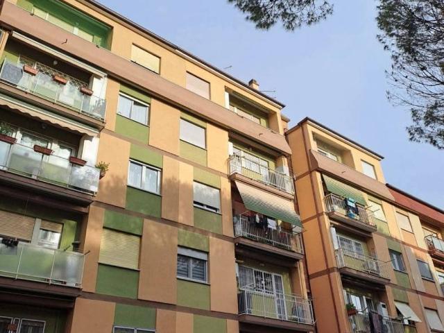 Appartamento in affitto a Roma RM
