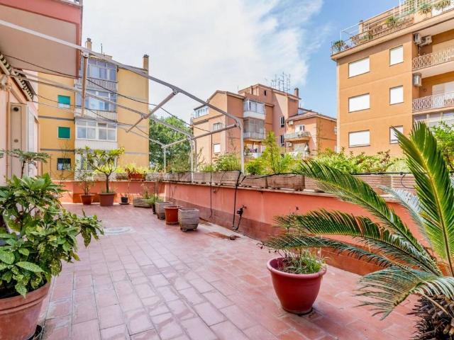 Appartamento in affitto a Roma RM