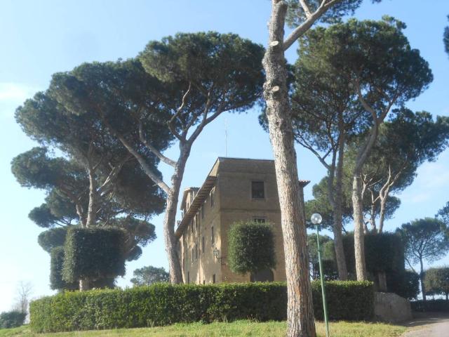 Appartamento in affitto a Roma RM
