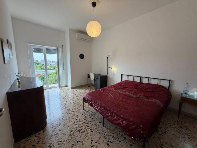 Appartamento in affitto a Roma RM