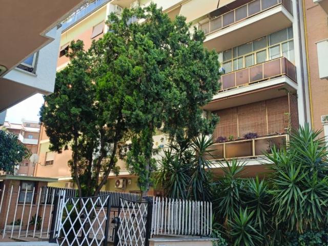 Appartamento in affitto a Roma RM