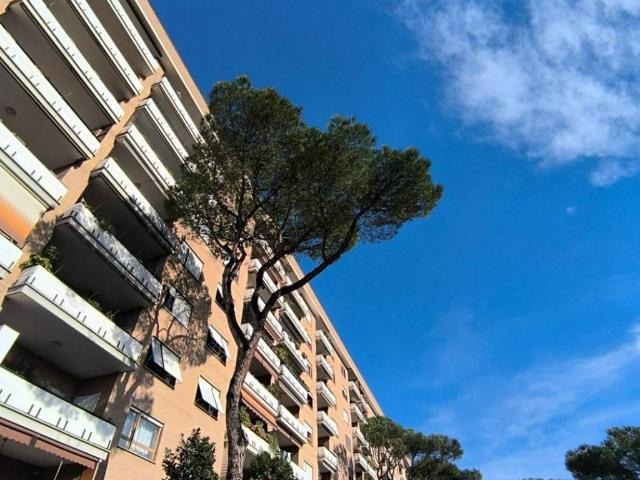 Appartamento in affitto a Roma RM