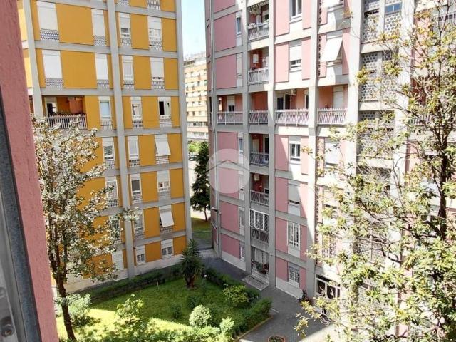 Appartamento in affitto a Roma RM