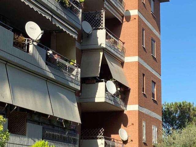 Appartamento in affitto a Roma RM