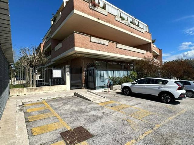 Appartamento in affitto a Roma RM