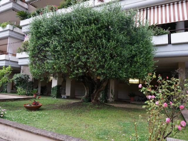 Appartamento in affitto a Roma RM