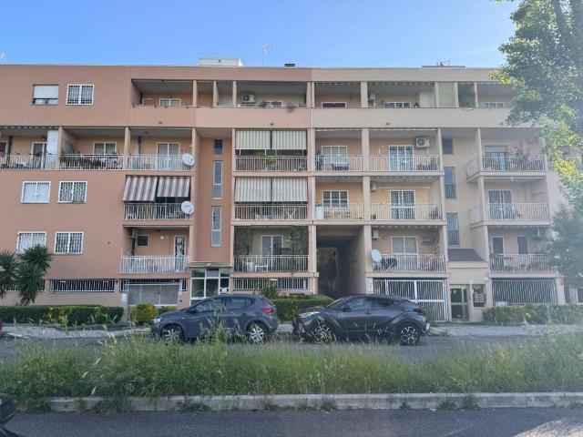 Appartamento in affitto a Roma RM