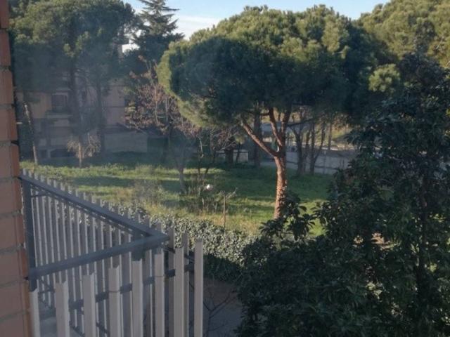 Appartamento in affitto a Roma RM