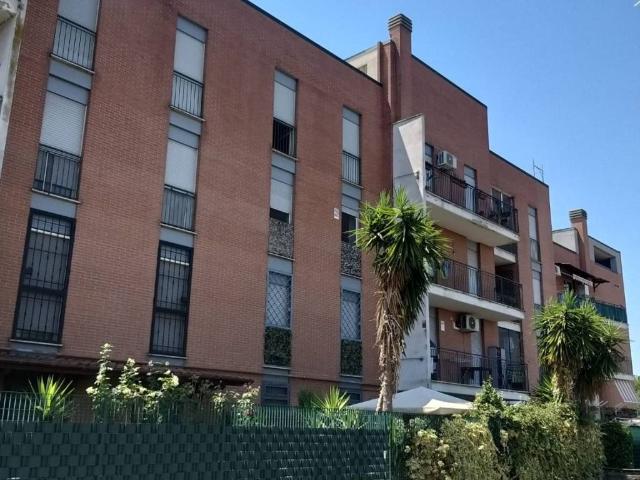 Appartamento in affitto a Roma RM